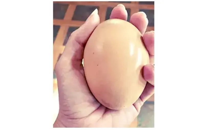 এক ডিমে গুনতে হচ্ছে ১১ টাকা