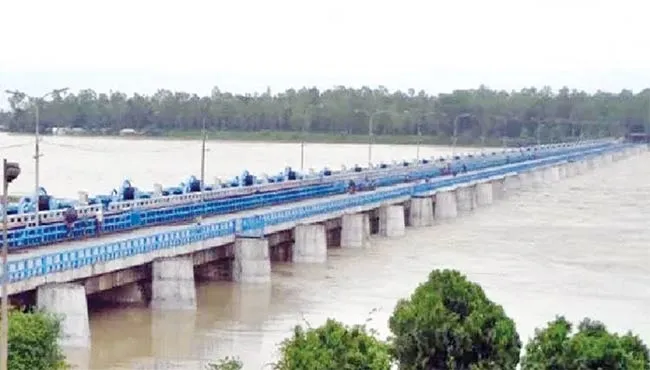 তিস্তাপাড়ে গজলডোবার গজব
