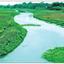 মৃত্যু যন্ত্রণায় ছটফট করছে গঙ্গানির্ভর সব নদ-নদী