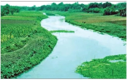 মৃত্যু যন্ত্রণায় ছটফট করছে গঙ্গানির্ভর সব নদ-নদী