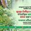 জুলুম-নিপীড়ন চালিয়ে গণতান্ত্রিক আন্দোলন ব্যাহত করা যাবে না