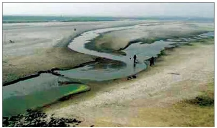 অধরাই থেকে গেল তিস্তা চুক্তি