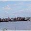 হাওরে বাঁধ নির্মাণে দুর্নীতির মহোৎসব