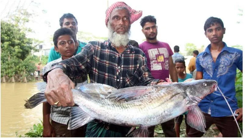 ভরা বৈশাখে ‘চৈতের নিদান’