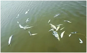 হাওরে আর্তনাদ