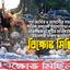 জামায়াতকে রাজনৈতিক কর্মসূচি বাস্তবায়ন করতে না দিয়ে সরকার বারবার সাংবিধানিক অধিকার হরণ করছে