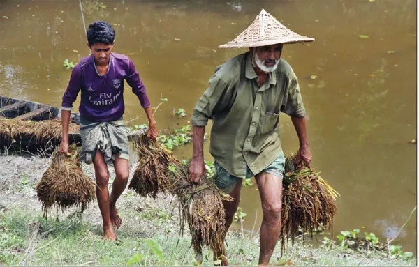 হাওর জনপদে কান্না