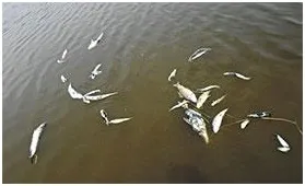 ইউরেনিয়াম পরীক্ষায় বিশেষজ্ঞ দল