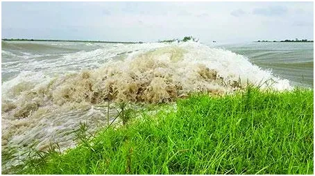 সব হারিয়ে নিঃস্ব লাখ লাখ কৃষক