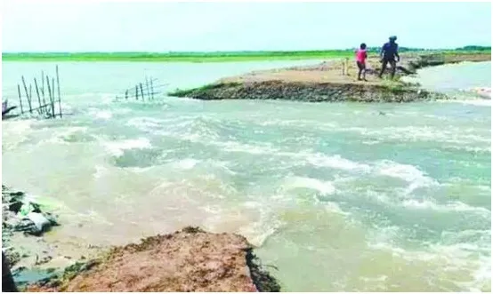 শনির হাওরের শেষ রক্ষা হলো না
