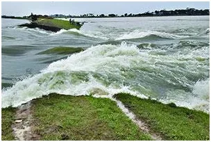 হাওরে উৎকট গন্ধ