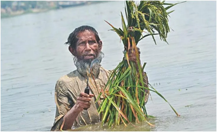 বিপন্ন হাওর...