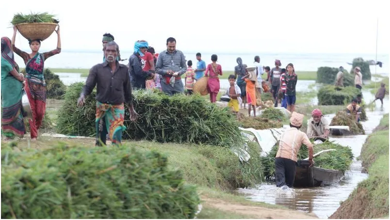 ৫০ লাখ হাওরবাসী তীব্র খাদ্যঝুঁকির মুখে
