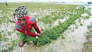 চৈত্রের প্লাবণে বৈশাখে হাওরাঞ্চলে আর্তনাদ