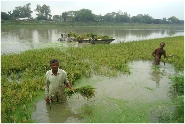হাওরডুবিতে উত্তরাঞ্চলের শ্রমজীবীদেরও দুর্দিন