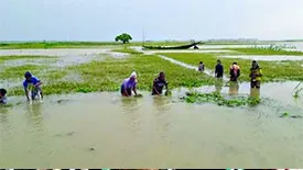 ‘মনু-ধলাই আমাদের সব শেষ করে দিয়েছে’