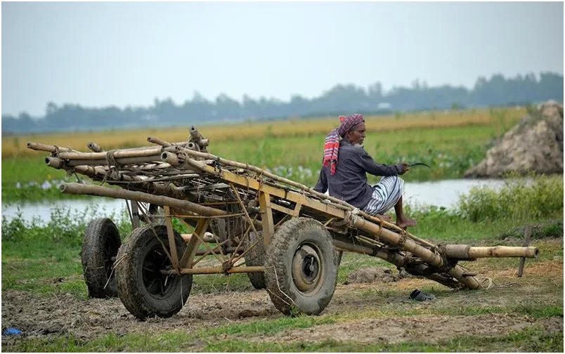 পাবনার গাজনার বিল ভাসছে বন্যায়