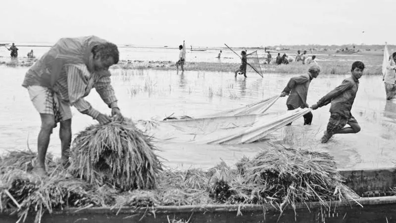 হাওর-বাঁওড়ের পাঁচালি