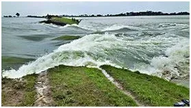 হাওরের সর্বনাশ ঠিকাদারদের পোয়াবারো