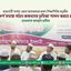 আদর্শ সমাজ গঠনে রুকনদের ভূমিকা পালন করতে হবে- মাওলানা আবদুল হালিম