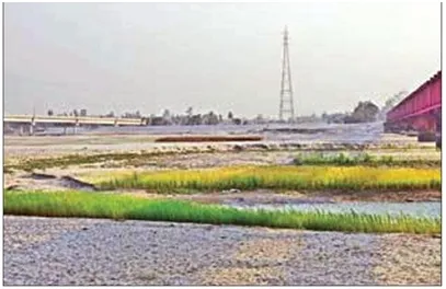 ফারাক্কার প্রভাবে মৃতপ্রায় গঙ্গানির্ভর নদ-নদী