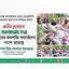কঠিন দুর্যোগে জামায়াতের সর্বস্তরের জনশক্তি বন্যার্তদের পাশে রয়েছে