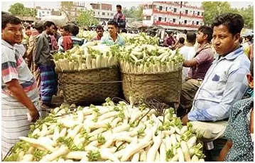 পরিবহন ধর্মঘটে উত্তরাঞ্চলে সবজি চাষিদের সর্বনাশ