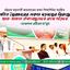 পতিত স্বৈরাচারের সকল ষড়যন্ত্রের বিরুদ্ধে ছাত্র-জনতা ঐক্যবদ্ধভাবে রুখে দাঁড়াবে- মাওলানা এটিএম মা’ছুম