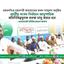 জাতীয় সংসদ নির্বাচনে আনুপাতিক প্রতিনিধিত্বমূলক ব্যবস্থা চালু করতে হবে