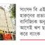 অনুমোদনহীন রেইনট্রিকে রূপালী ব্যাংকের ঋণ