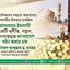 জামায়াতে ইসলামী একটি দূর্নীতি, সন্ত্রাস, চাঁদাবাজমুক্ত বাংলাদেশ গঠন করতে চায়