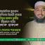 আন্তর্জাতিক কুরআন প্রতিযোগিতায় বিজয়ী হাফেজ সাইফুর রহমান ত্বকীর ইন্তিকালে গভীর শোক প্রকাশ