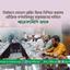 নির্বাচনে লেভেল প্লেয়িং ফিল্ড নিশ্চিত করাসহ যৌক্তিক গণদাবিসমূহ বাস্তবায়নের দাবিতে স্মারকলিপি প্রদান