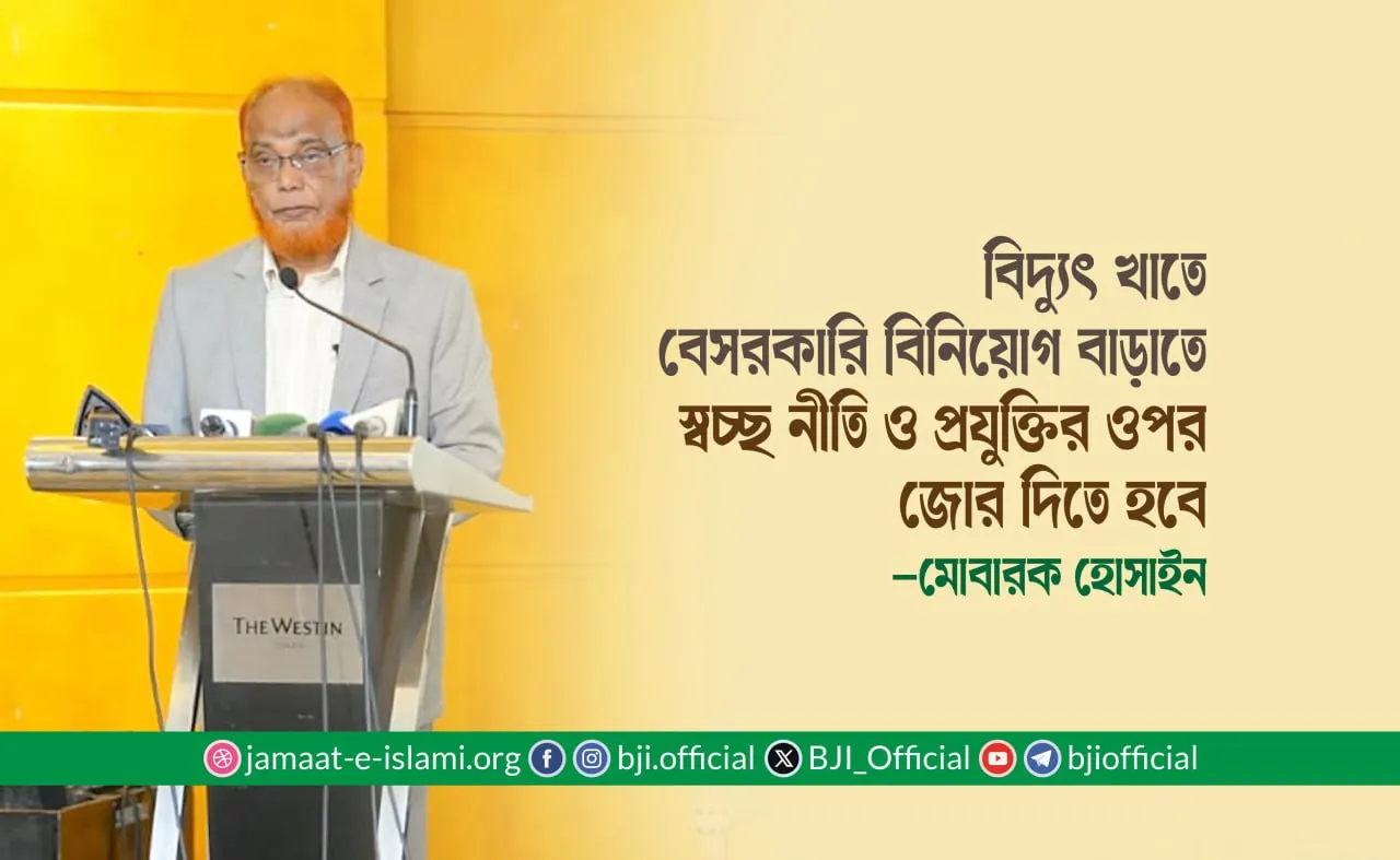 বিদ্যুৎ খাতে বেসরকারি বিনিয়োগ বাড়াতে স্বচ্ছ নীতি ও প্রযুক্তির ওপর জোর দিতে হবে
