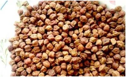 রমজান মাসই টার্গেট ছোলা ব্যবসায়ীদের