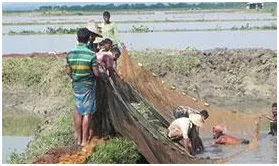 ভালো নেই হাওরপাড়ের মৎস্যজীবীরা