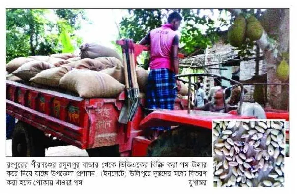 ভিজিএফের গম নিয়ে হরিলুট