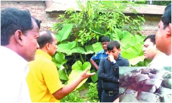 বদরগঞ্জে ভিজিএফের ১৪৭ বস্তা গম জব্দ