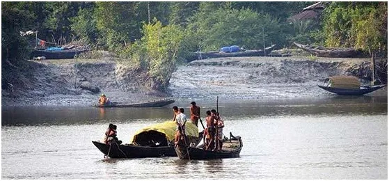 সুন্দরবনের আয়তন ক্রমেই কমছে
