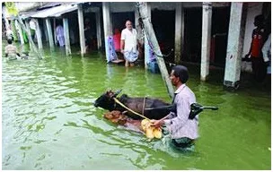 সিলেটে বন্যায় মানবেতর জীবন