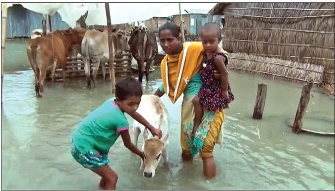 যমুনা-ব্রহ্মপুত্র পাড়ে বন্যা