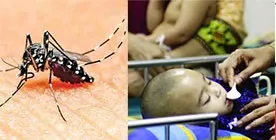 চিকুনগুনিয়া ডেঙ্গুর সঙ্গে বাড়ছে ডায়রিয়া