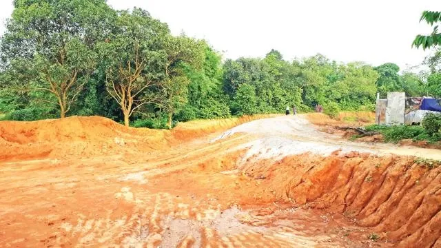 পূর্বাচলে হাজার একর বনভূমি কেটে প্লট–ফ্ল্যাট হচ্ছে