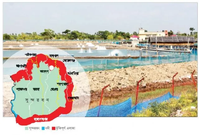 সুন্দরবন ঘেঁষে হানিফের চিংড়িঘের