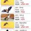 দেশে ৭টি নতুন রোগ