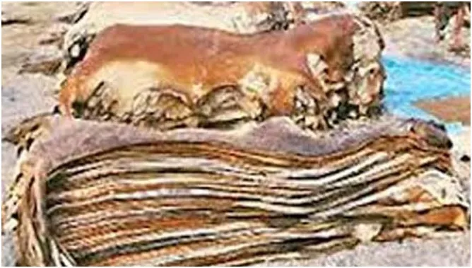 এবার বায়াররা মুখ ফিরিয়ে নিচ্ছেন