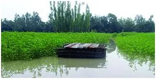 উত্তরাঞ্চলের কৃষকের স্বপ্ন পানির নিচে