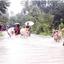 সাম্প্রতিক বন্যায় ৩ কোটি ৬০ লাখ টাকার প্রাণিসম্পদ ক্ষতি হয়েছে