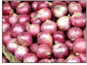 হঠাৎ বাড়ছে পিঁয়াজের দাম