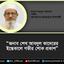 জনাব শেখ আবদুল কাদেরের ইন্তেকালে গভীর শোক প্রকাশ